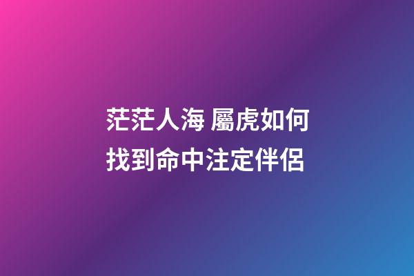 茫茫人海 屬虎如何找到命中注定伴侶